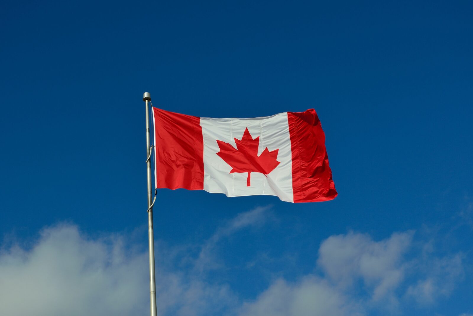 NACO x Oxford + Richmond | Canada’s Talent Advantage: Turning Capital into Capability